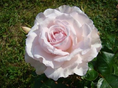 �������� ����