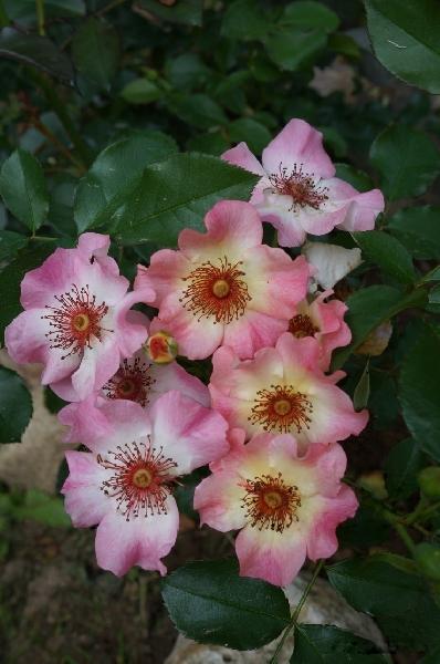 ��������� �� �������