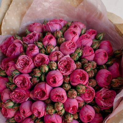 ���� �����