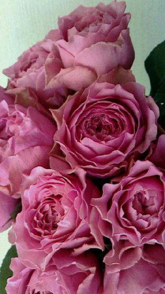 ��������� ����