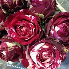 ����� ����