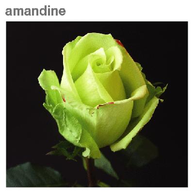 Амандина