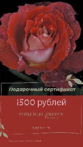 ПОДАРОЧНЫЕ СЕРТИФИКАТЫ
